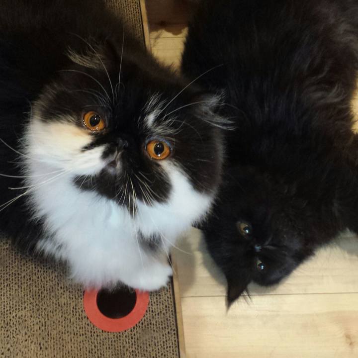 B9958d46 e888 4ecb 8f0a 73a00c23a2cd 1510955005254