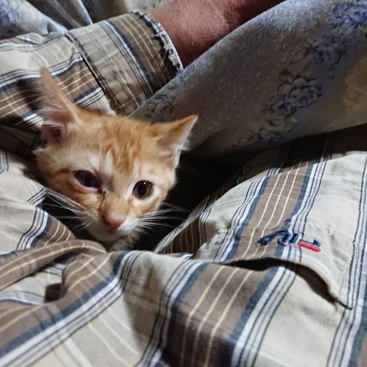 B9959010 9f26 4130 9125 c7d6c51259c1 1629232101414