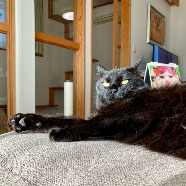 B9959f8b 513a 4e59 8f5f cc0650c472f8 1765069793446