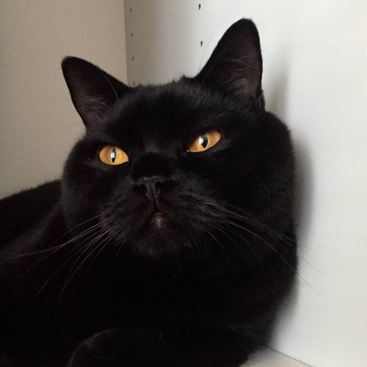 B995af4c ae7d 4de9 8ad1 b5550dd5e8ca 1537620071835