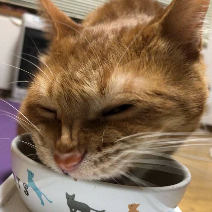 B995ca23 23e9 4a8b bef3 bafb1a1cbeec 1608125815119