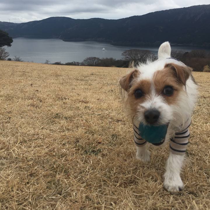 B9964e17 e726 427c 905e 7144795ce03a 1514716227337