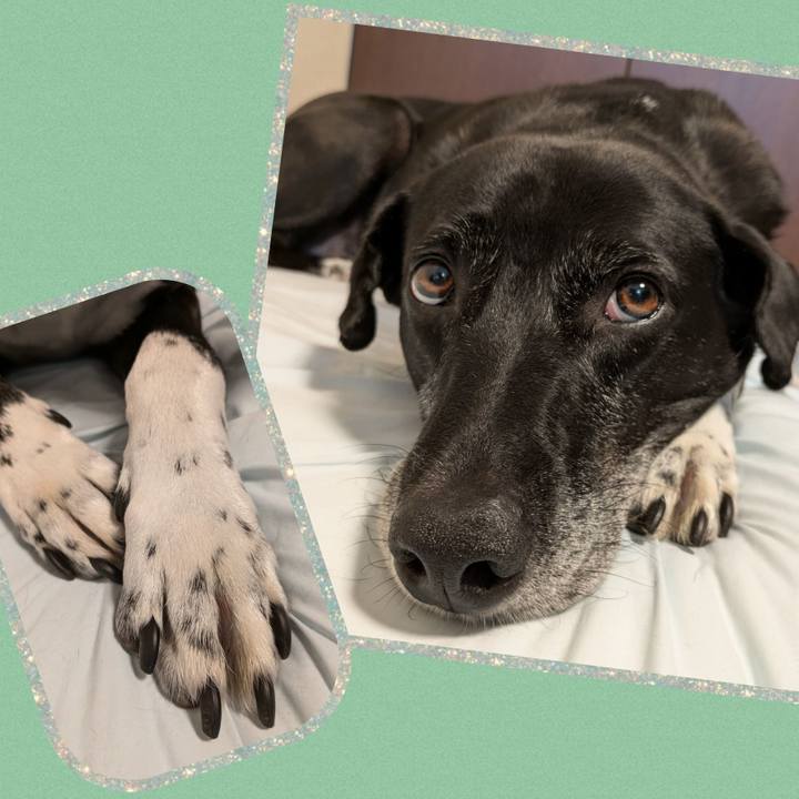 B99651c0 5113 4753 9624 c86f4474b43b 1723633831406