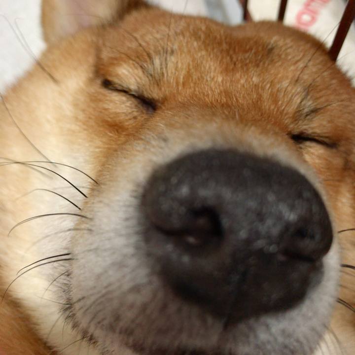 B9966edd f2cd 425b 81ea 0b9c8f009c96 1520375352992