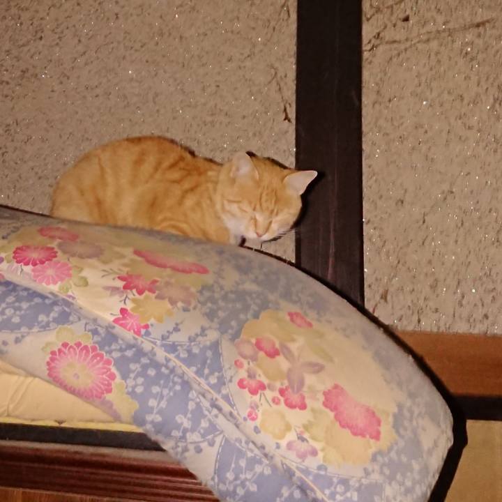 B99670b7 3cd1 4fc2 871d ffa96716f3cf 1591040185291