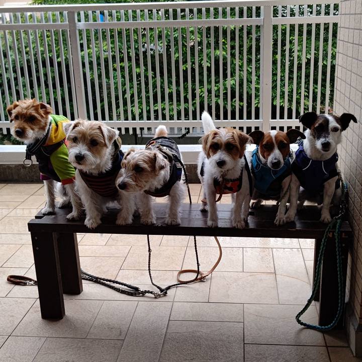 B996a360 bd2f 4178 9365 6bd705af2448 1621398659251