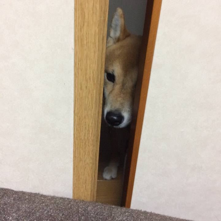 B996b49a d458 4f70 a936 dbaebcbb84ae 1516275259094