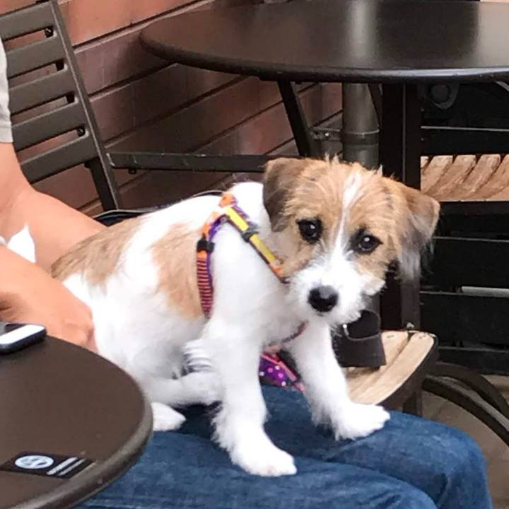 B996bb15 3662 4806 8530 a36ed8b6994d 1760181392848