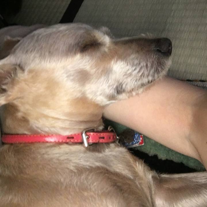 B996d60c 4d2e 4625 80f7 d0a309ed5a7d 1529839499912