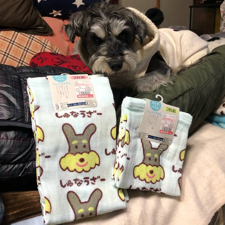 B996d6f3 5686 4166 8d69 2e90100adf3d 1647141164925