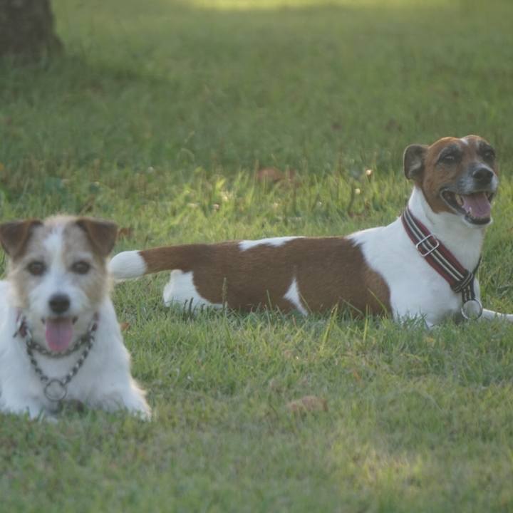 B996e7a4 f7d3 4b77 b1a2 c8b6e5ae4621 1571183863741