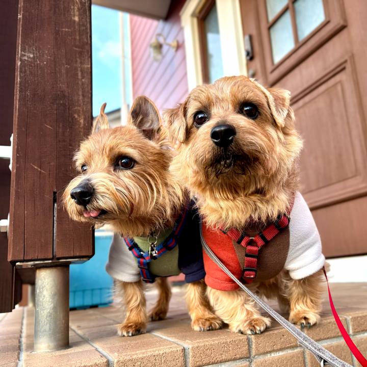 B9971bef d52c 40b9 8b99 dc1dc93ea467 1762689951142