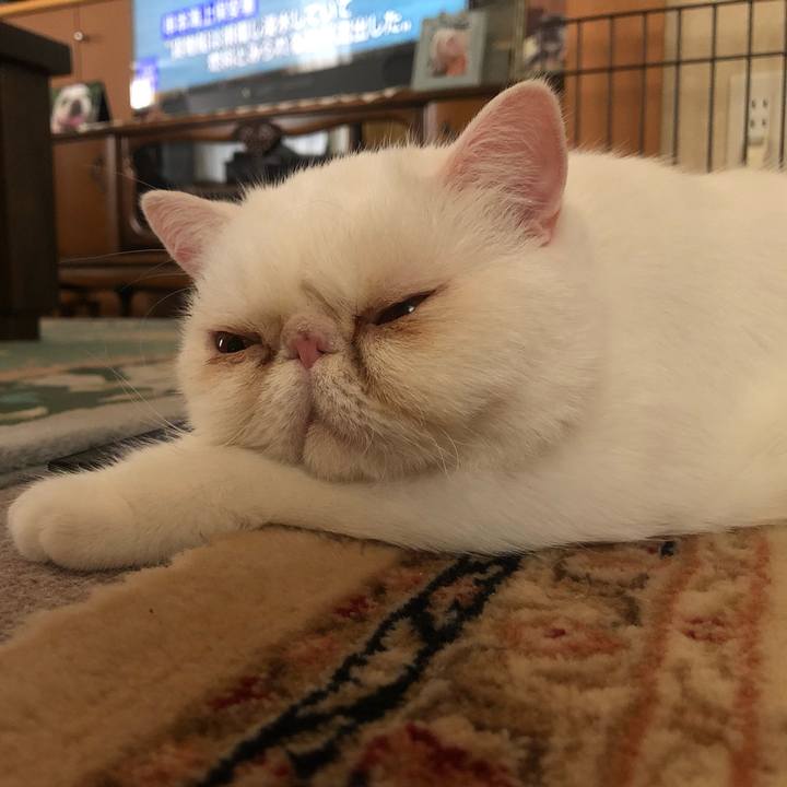 B9974bde 0d21 475c 9773 73d44a71f8a4 1660975783906