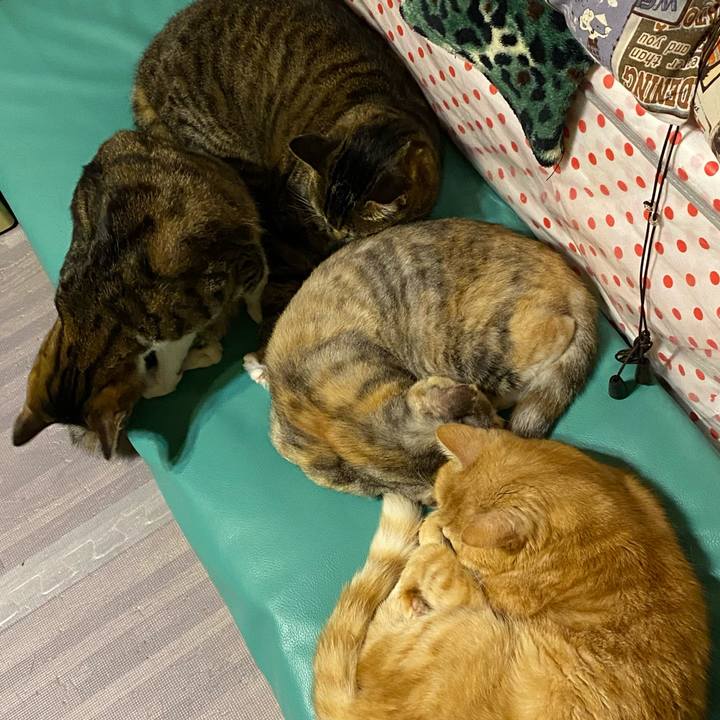 B9975741 017d 4330 8332 5bc5b77343f0 1615728516055