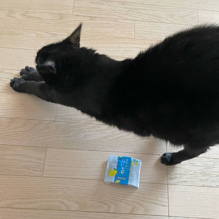 B99768ee 693d 480d a21b 4041b17e638b 1718511867455