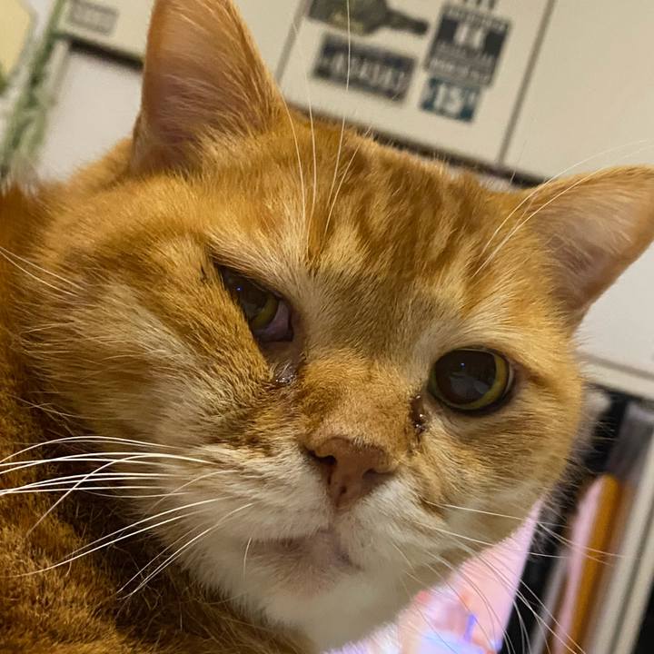 B9977867 3af9 42b3 84ec 297a5c9ea8ea 1643807966020