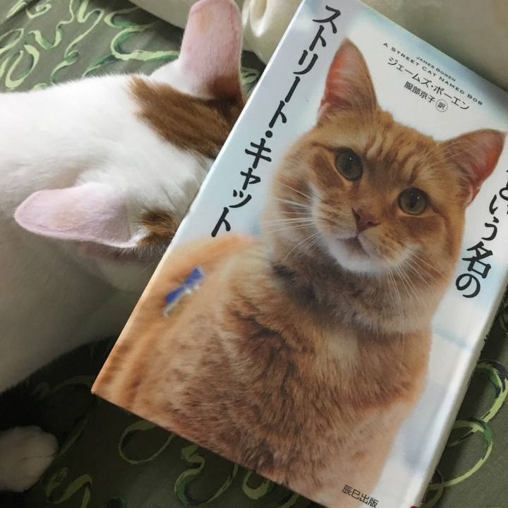 B997b7b5 b96a 4cfa 9cef a1f16bdaa828 1524392905695