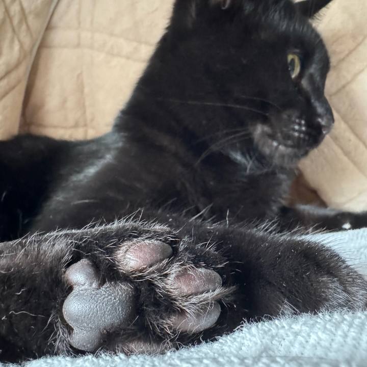 B997cacc a80b 48bb 9663 1a84db2c9eda 1760050888774