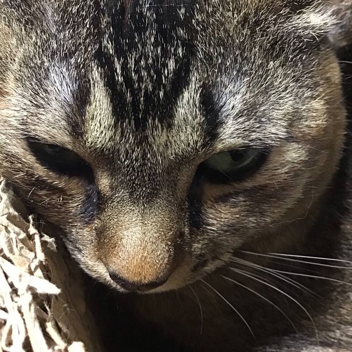 B997d8e3 6d31 4c1f ab0b 9c450a6cea6b 1746100138312