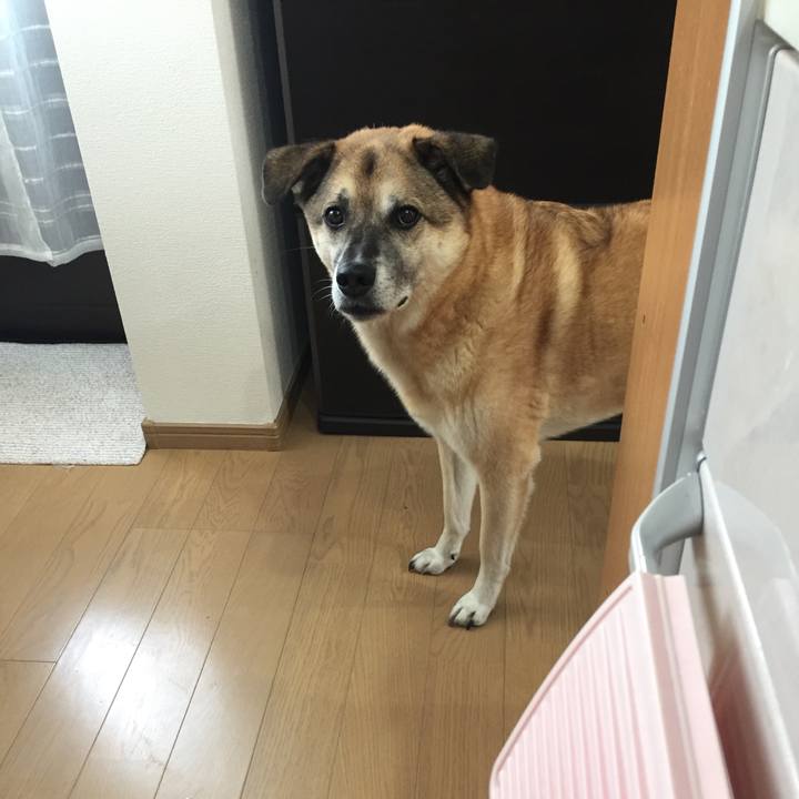 B997dd13 9bc6 4f3d 96c4 7f4ea1340d47 1538790698186