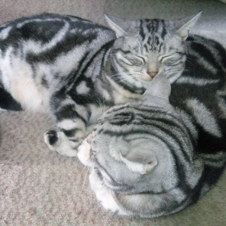 B99826a1 eaaa 4da1 8c9d f29636f0feec 1645878428951