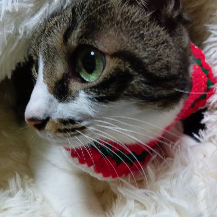 B998655f 3ee9 434f 987f 47a0e20e10e4 1766559478975