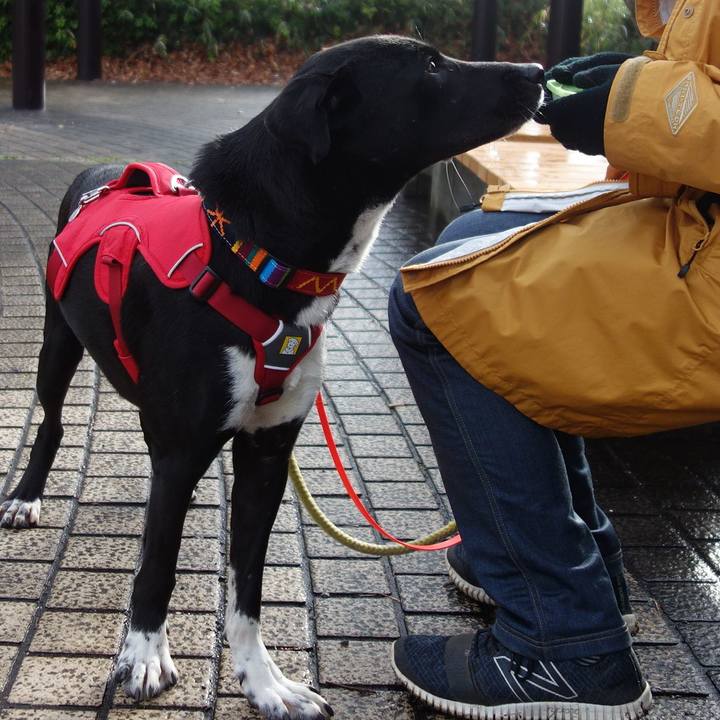 B99879f1 7adc 4df9 8349 dfcd0b1c6bb1 1582332747037