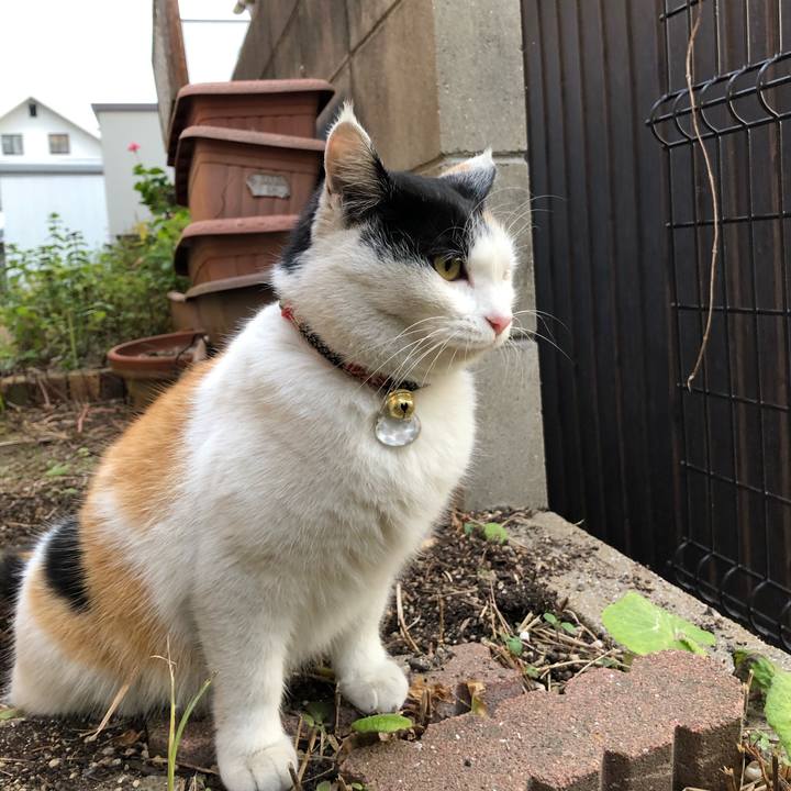 B9988e35 82b7 4307 b3ee d3ecb6dc890e 1609024151517