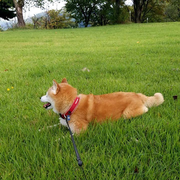 B998f799 4744 4a5b aedf 35b84fdff9ea 1726982775953