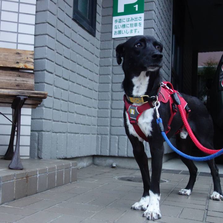 B99910cf 3eef 46fe 96f6 e31142f7884c 1587560296776