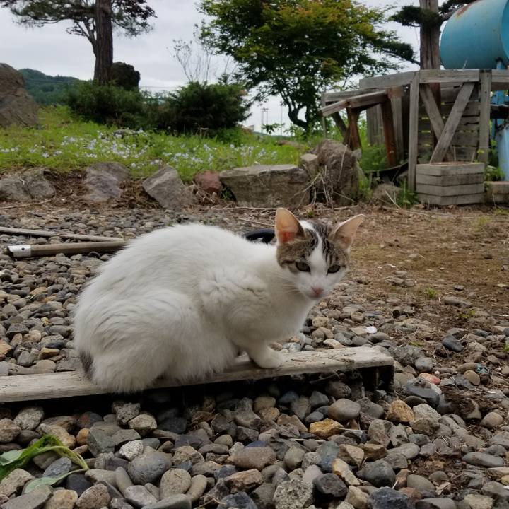 B9993d48 ff6a 4744 a6e3 10b333f5817b 1592780826212