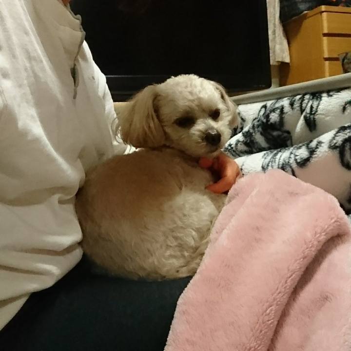 B9994e54 0e9f 4d63 8099 f9c013c47845 1552400387835