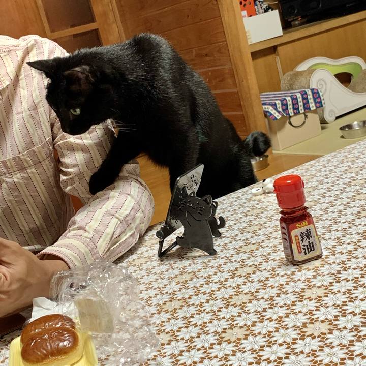 B99989ee 3af8 4f93 b423 58bb884bcf12 1634554563738