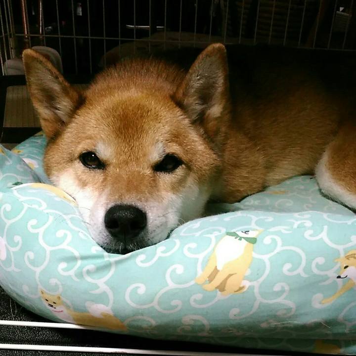 B9999a5e 63b6 4d31 9873 455a8ea4311d 1568207302675