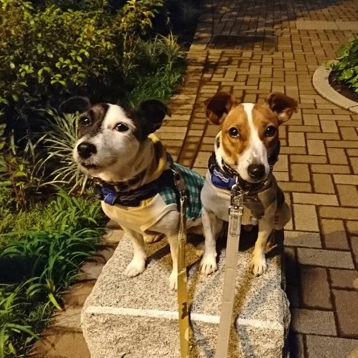 B999a5af 429d 40d8 a16e 2b2ece9d74a3 1535975635188