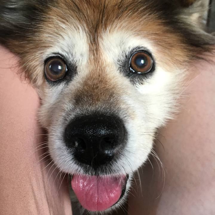 B999edb9 f7f9 4d5f aa5e 471689fbe9b8 1578705370859