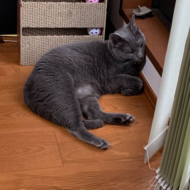 B999f773 44fd 4af4 9b86 39096a8378cc 1658220298217