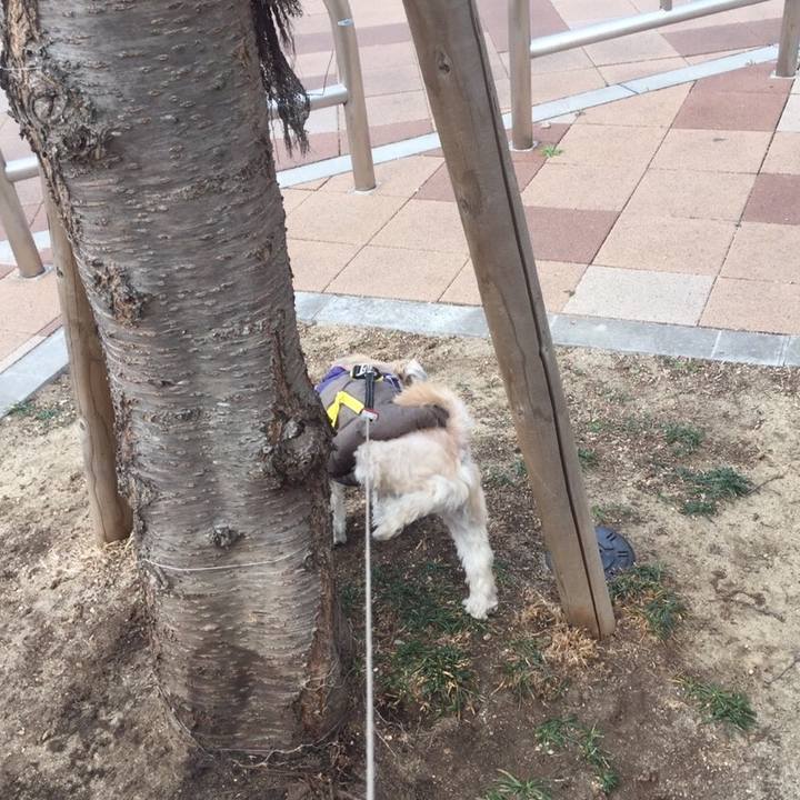 B999f8b0 3c7f 4c1e 9d7d d72c8b81dbba 1548932156786