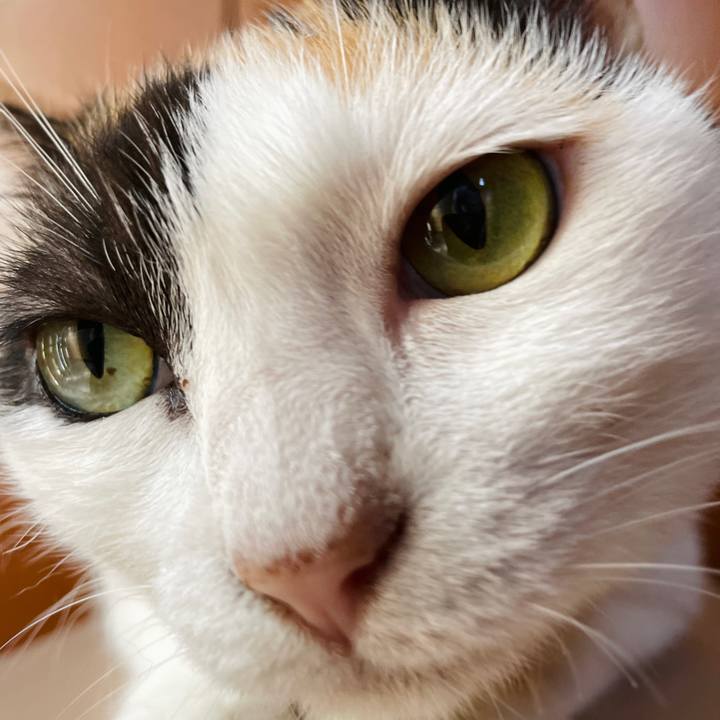 B99a2e37 5261 4287 8976 714be6d5191c 1660617020951