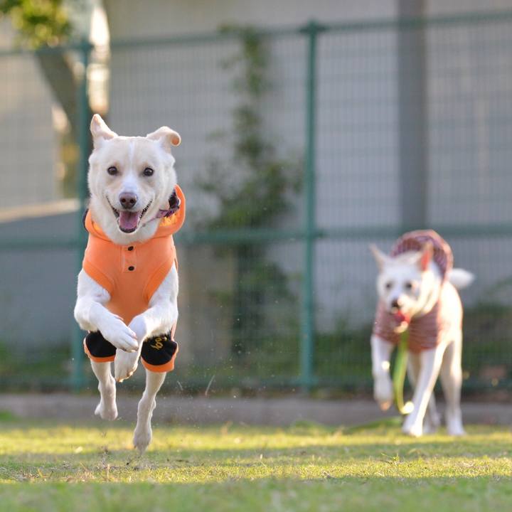 B99a35d3 9e59 43d2 8a01 ff6bd7efb22b 1509099661724