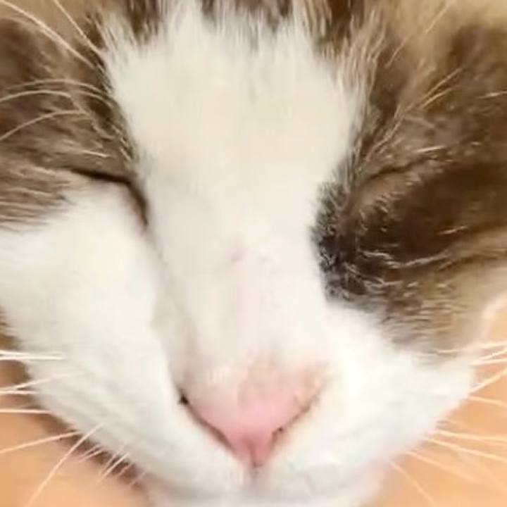 B99a64c5 2c15 4232 a468 83b9a1e0dd07 1731211226816