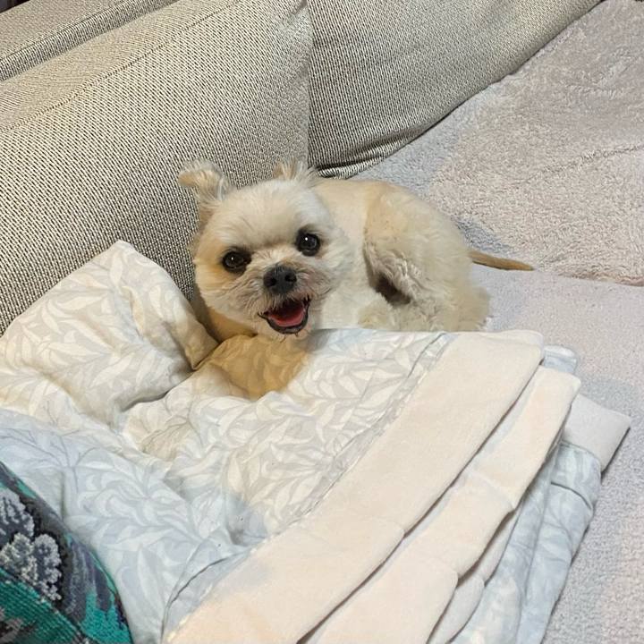 B99a9892 ad11 4c12 add4 b9385a4e6fd9 1744896829090