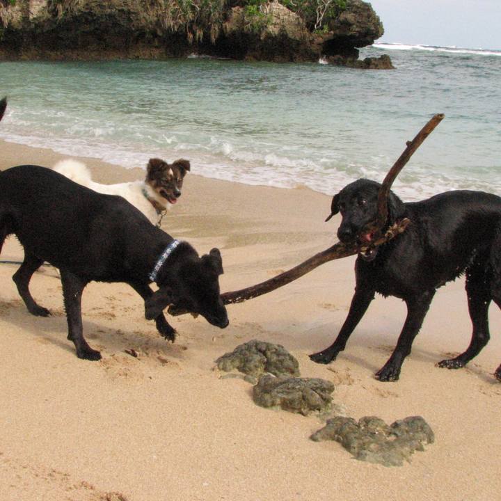 B99ada50 3bfb 4e66 9bfe 9f19421c6b8d 1635468560654