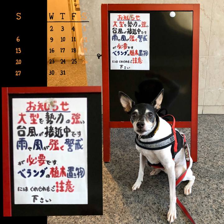 B99ada93 4cd1 485a 9324 472dee40bca7 1570748884523