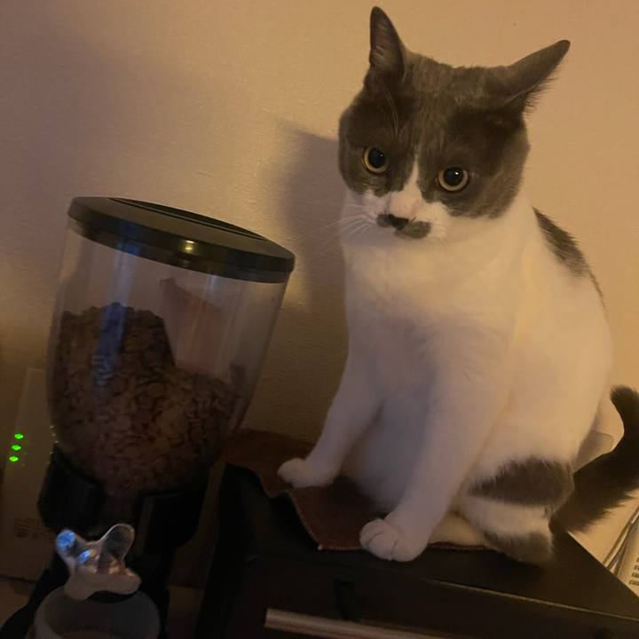 B99afb5b dbf0 4f51 91a5 d305a431fde2 1750286423948