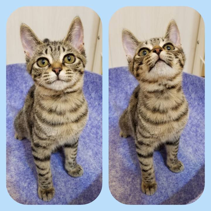 B99b4495 43ff 4e00 9b94 04c5e6aca35d 1540869116535