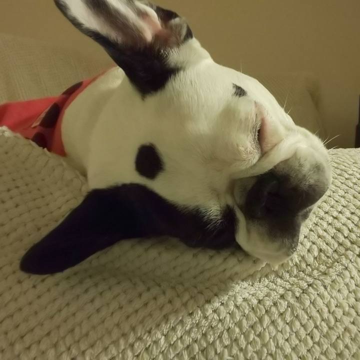 B99b4e44 e943 4d8c 8b46 edbdec2c7422 1577110922835