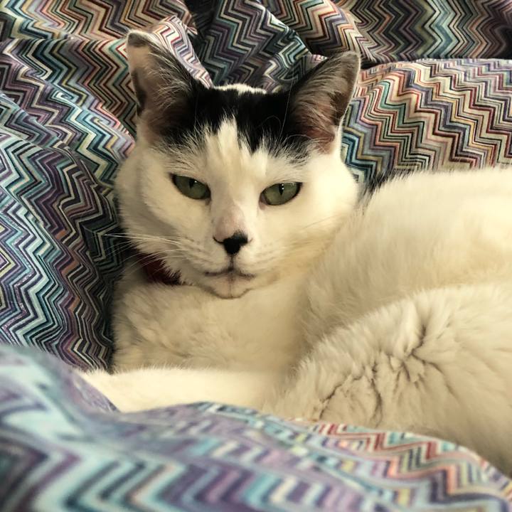 B99b68bd c12a 43d4 9b3f 065d8e0bd332 1549581694751