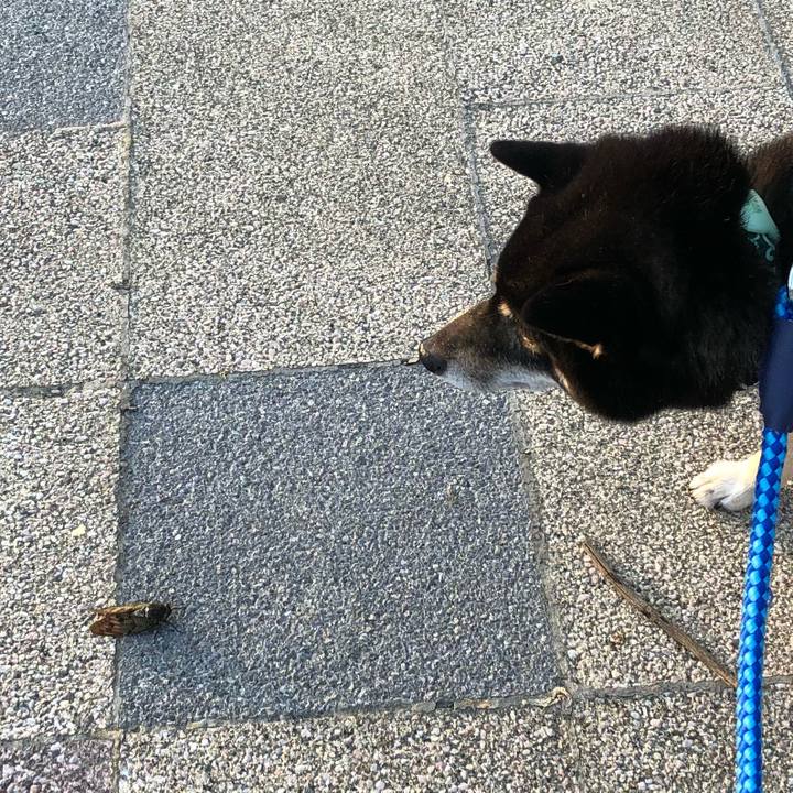 B99b6f00 db76 420f a912 81490fd31eaf 1533531648006