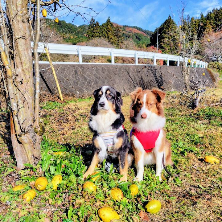 B99b7a20 5ab8 4dcf 83f3 e84680845004 1765625076134